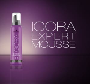 Schwarzkopf - Cartela de cores IGORA expert mousse 