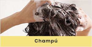CHAMPÔ