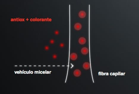 molecula-antioxidante-proceso-ordinario-ker-ha-complex