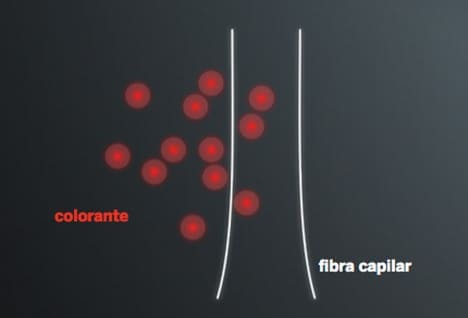 molecula-antioxidante-proceso-ordinario