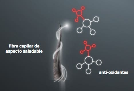 proceso-oxidacion-regular-con-ker-ha-complex